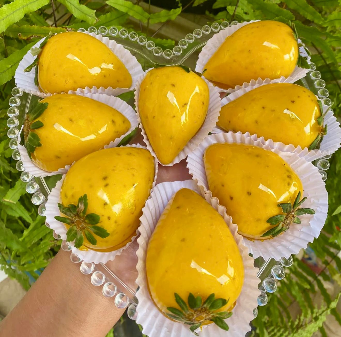Maracujá do Amor